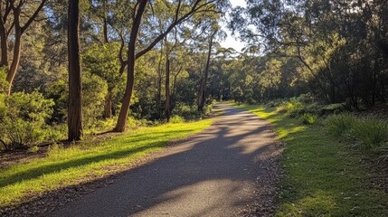 Obraz premium A morning walk along a peaceful nature trail surrounded by trees and green foliage.