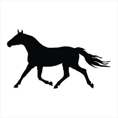 horse silhouette isolated on white background
