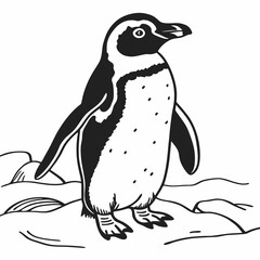 penguin on a white background