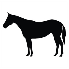 horse silhouette vector