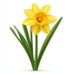 vibrant daffodil flower with bright yellow petals and green leaves