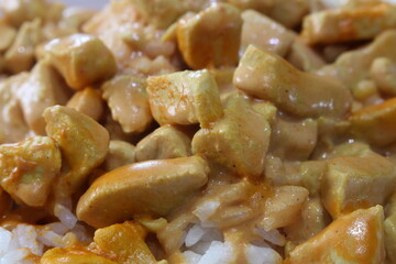 chicken stroganoff with rice. meal details. closeup on food.