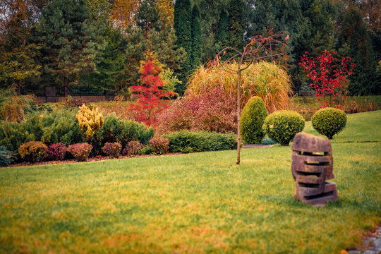 Stunning autumn view of botanical garden with stone lantern. Wonderful morning scene of green meadow among foliage trees. Beauty of nature concept background..