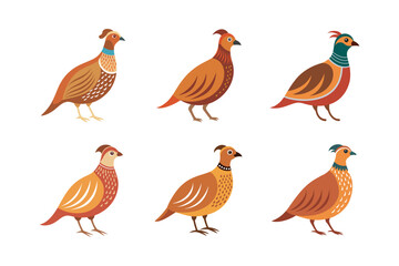 Cute Quail Illustration Bundle. Adorable quail illustrations, perfect for nature-inspired designs, greeting cards, stationery, posters, and creative projects.