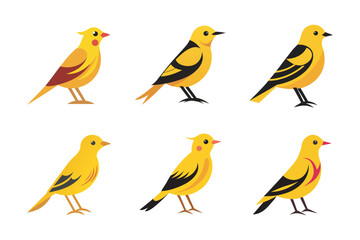 Cute Yellowhammer Birds Illustration Bundle. Ideal for posters, stationery, apparel, and nature-themed projects.