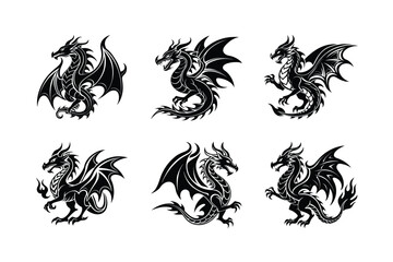 Obraz premium set of animal on white