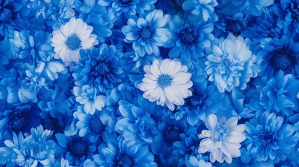 Mini Blue Cornflowers Pattern, intricate design featuring evenly spaced blue cornflowers, ideal for textiles and decorative surfaces