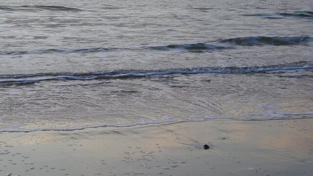 seascape at the beach during sunset