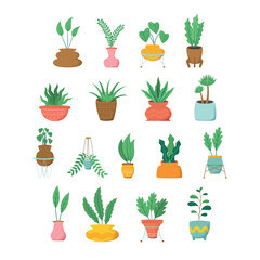 Variety of Potted Houseplants in Modern Decorative Pots and Planters