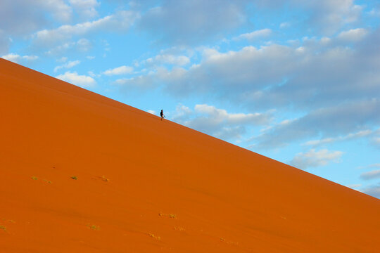 Man walking down Big Daddy sand dune in Sossusvlei in the Namib Desert, Namibia