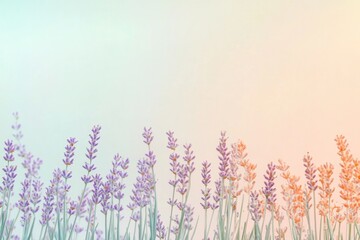 creative gradient blending pastel tones of lavender mint and peach creating whimsical and lighthearted effect