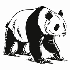 illustration of a panda