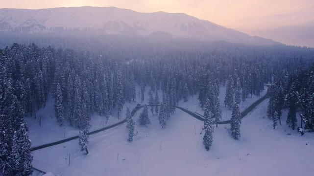 Aerial drone shot flying forward towards looping road surrounded by forest of chinar walnut trees and the Himalaya mountains as the backdrop in Paradise on earth Kashmir