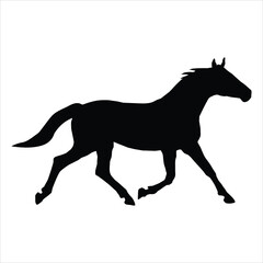 silhouette of a horse