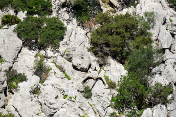 Scenic View Of A Wild Vulture Flying Over The Rocky Canyon De Las Buitreras In Gaucin Malaga Spain