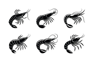 set of black and white birds