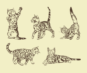Set Of Drawing Cats Vector Illustration Design