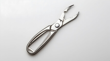 Obraz premium Stainless steel crab cracker on white background; seafood preparation tool; kitchen utensil; food photography