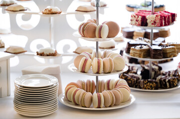 A tiered stand showcases an assortment of delicate macarons and various pastries. White plates and a clean backdrop enhance the presentation, creating a visually appealing dessert table.