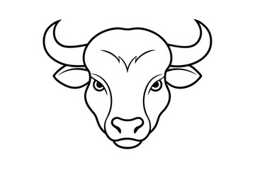 head of a bull