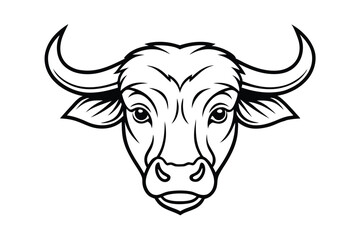 head of a bull