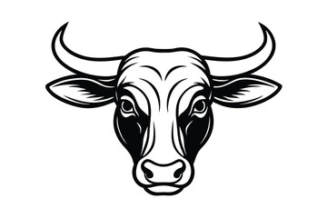 head of a bull