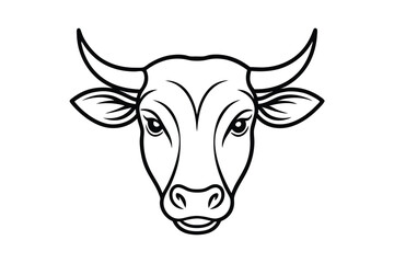 head of a bull