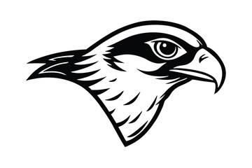 head of eagle