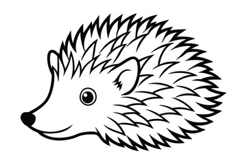 hedgehog illustration