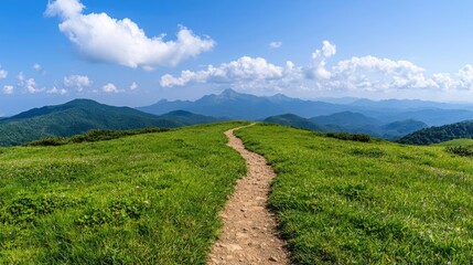 Mountain hiking trail, scenic view, summer day, grassy hills, clear sky