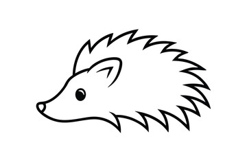 hedgehog illustration