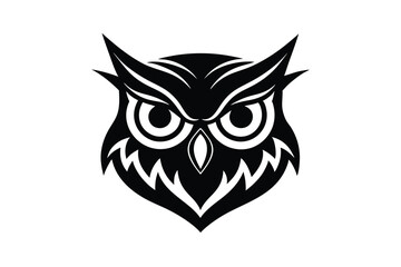 owl on white background