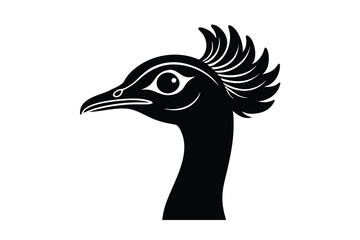 illustration of a peacock head