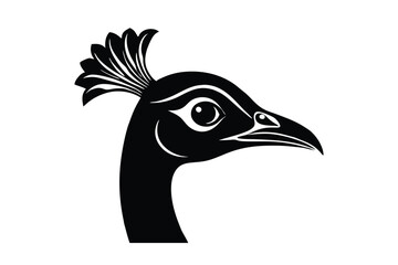 illustration of a peacock head