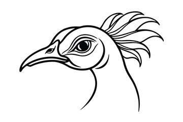 illustration of a peacock head