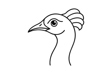 illustration of a peacock head