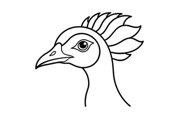 illustration of a peacock head