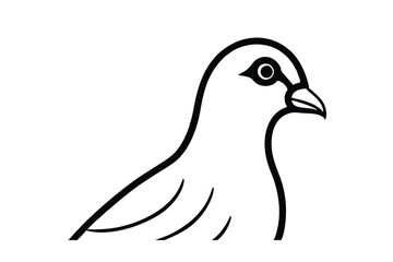 illustration of a bird head