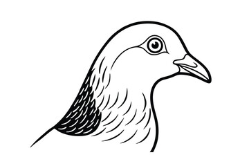illustration of a bird head