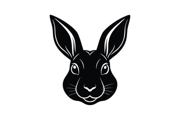 rabbit head isolated on white