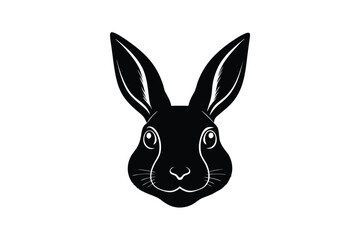 rabbit head isolated on white