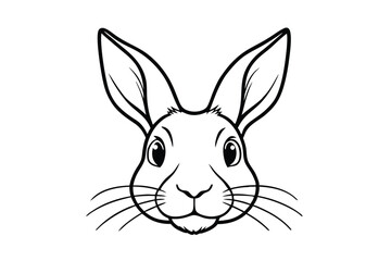 rabbit head isolated on white