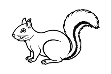 squirrel with nut