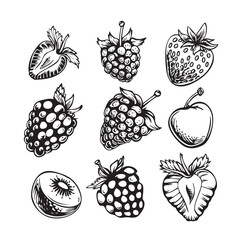 Hand drawn doodle of sweet berry.