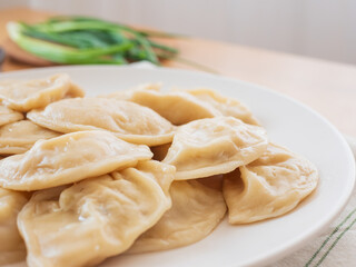 Vegetable dumplings gyoza served on white plate with green onions