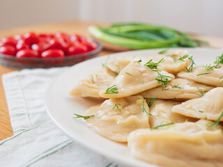 Vegan dumplings gyoza with dill, tomatoes and green onions on white plate
