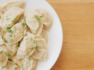 Vegetable dumplings gyoza with dill served on white plate