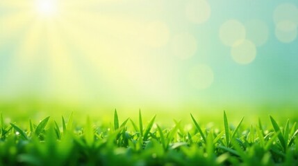Fototapeta premium Vibrant Green Grass Blades Illuminated by Soft Sunlight Against a Dreamy Blurred Background