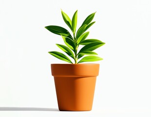 Obraz premium A vibrant green plant in a terracotta pot against a minimalistic white background, ideal for nature-themed designs, bringing freshness and tranquility to any space.