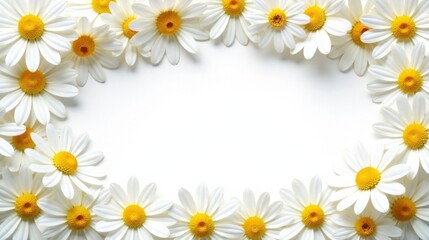 Floral Frame of Delicate White Daisies with Central Empty Space Ideal for Text or Images